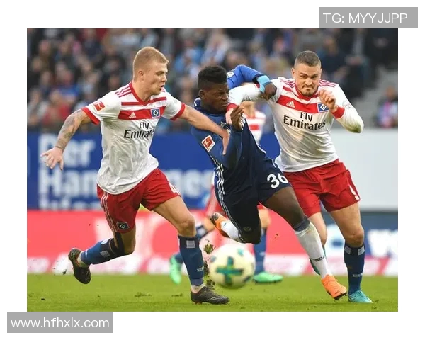 汉堡遭遇沙尔克04绝杀，遗憾1-0惨败